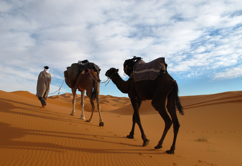5 Day Morocco tour from Marrakech to Chefchaouen via Sahara Desert